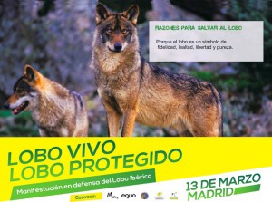 Manifestación en defensa del Lobo Ibérico y sus derechos.