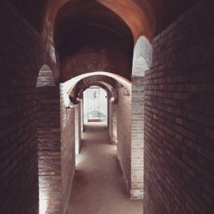 photo_2019-05-03_21-23-46