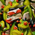 frogs-1364214_960_720