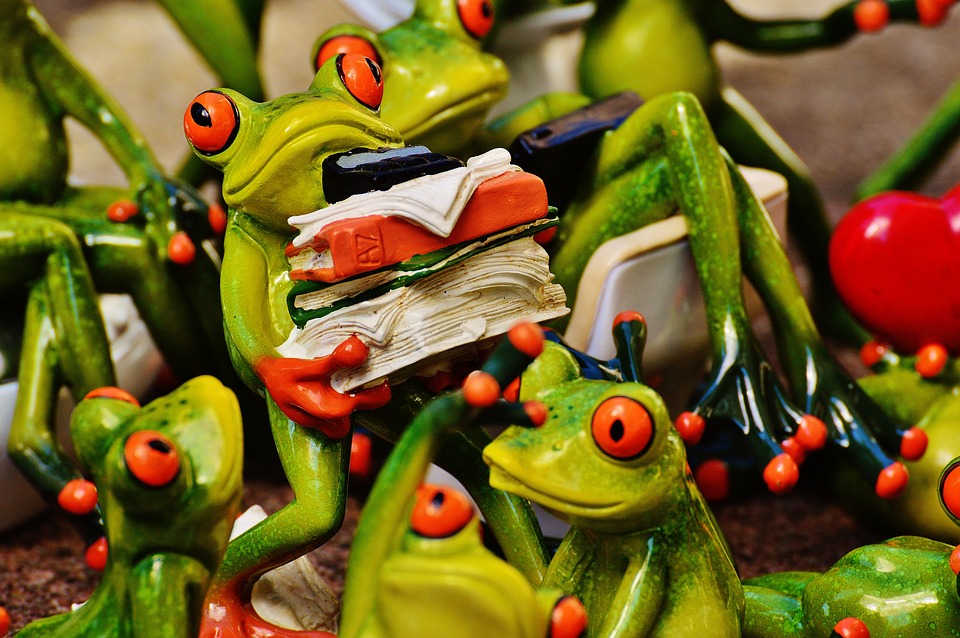 frogs-1364214_960_720