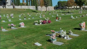 Izquierda Independiente recurre la aprobación del cementerio privado y crematorio en Sanse.
