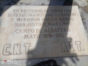 Un olivo en el campo de concentración de Albatera, Alicante.